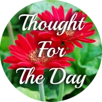 Thought For The Day Life Quote